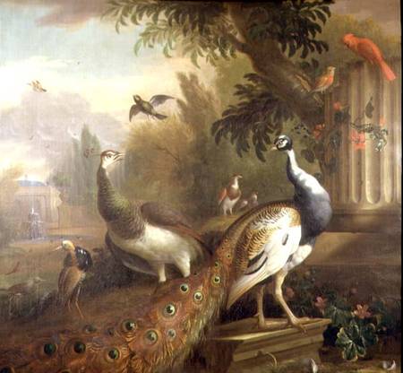 Peacock and Peahen with a Red Cardinal in a Classical Landscape von Tobias Stranover