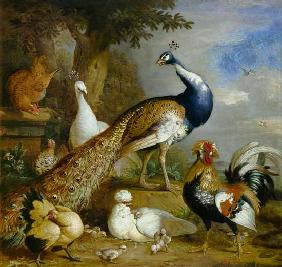 Peacock, Peahen and Poultry in a Landscape