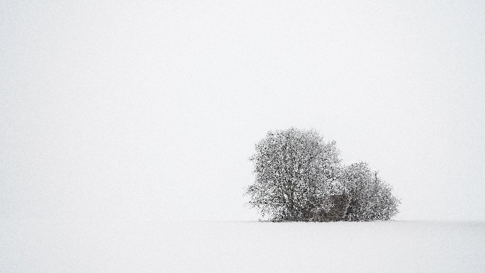 Winterstille von Tom Meier
