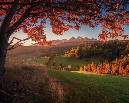 Herbst unter der Tatra