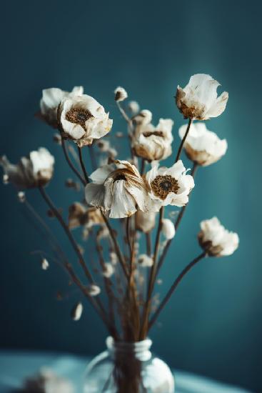Weiße Blumen auf türkisfarbenem Hintergrund