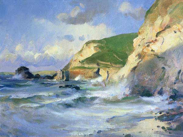 Cliffs at St. Agnes (oil on canvas)  von Trevor  Chamberlain