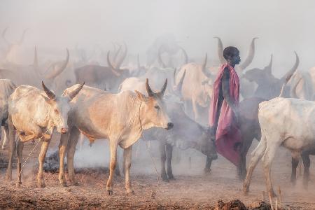 Mundari-Hirte und die Herde