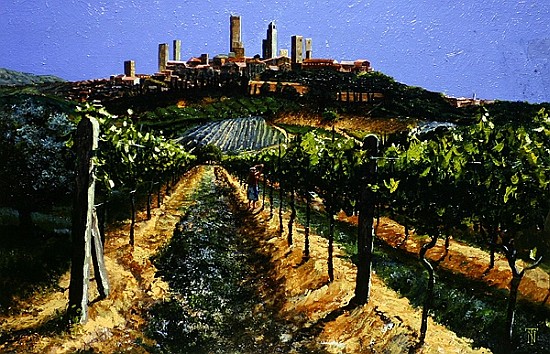 Grape Vines, San Gimignano, Tuscany, 1998 (oil on canvas)  von Trevor  Neal