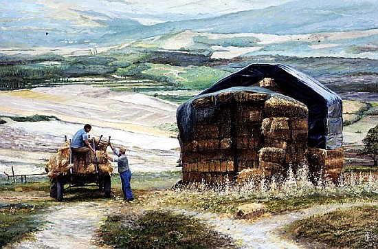 Haymaking, Volterra, Tuscany (oil on canvas)  von Trevor  Neal