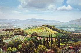 Rolling Hills, Pistoia, Tuscany (oil on canvas) 