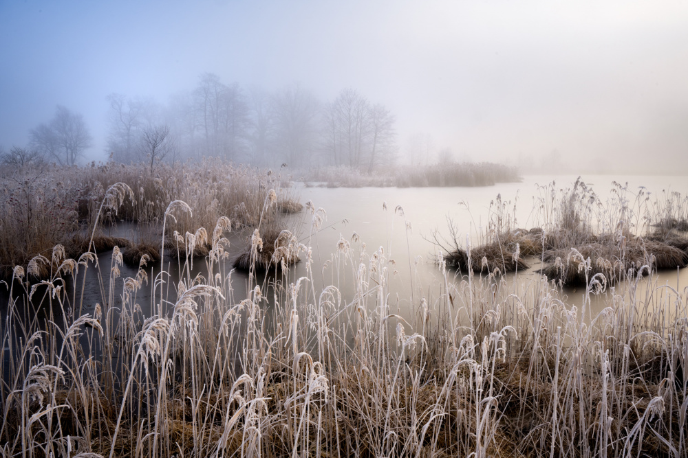 Winter in Bayern von Ulrike Eisenmann