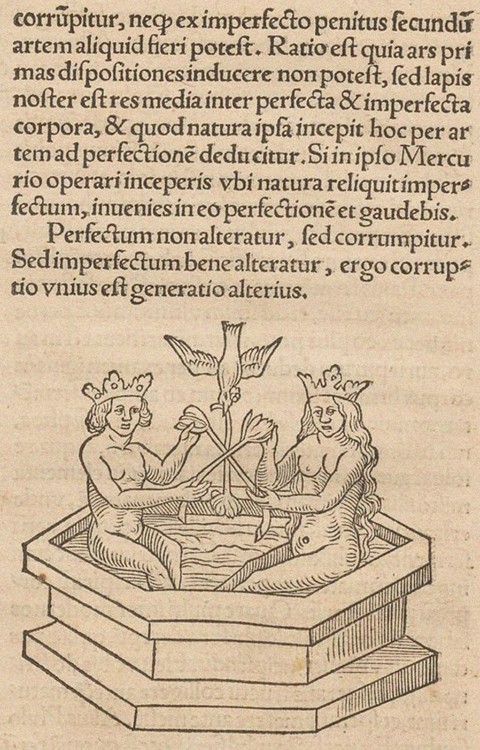 Illustration für Rosarium philosophorum sive pretiosissimum donum Dei von Unbekannter Künstler