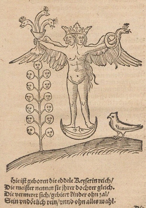 Illustration für Rosarium philosophorum sive pretiosissimum donum Dei von Unbekannter Künstler