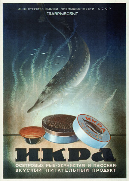 Werbeplakat für Stör Kaviar von Unbekannter Künstler
