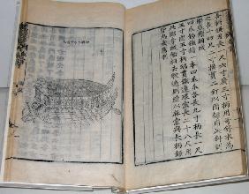 Schildkrötenschiff (Buch über Yi Sun-sin) 1795