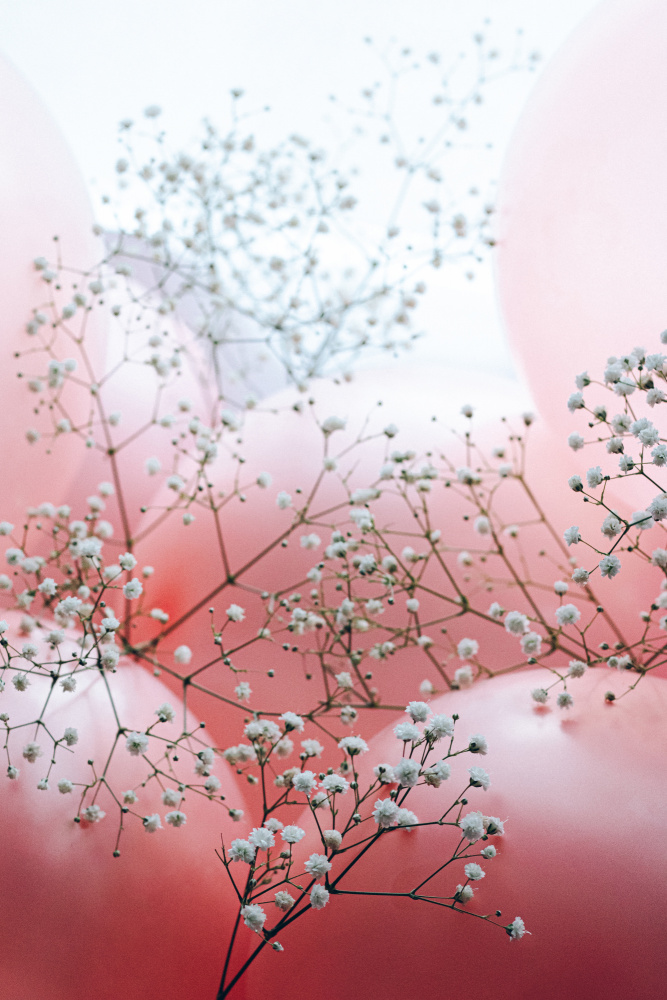 Blüten und Luftballons – alles von mir von uplusmestudio