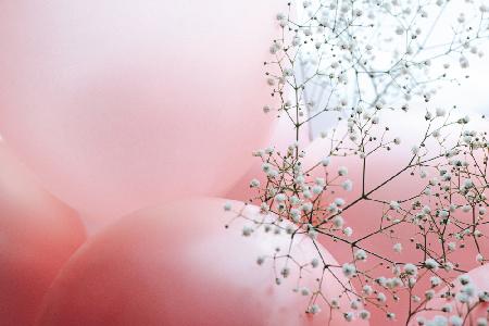 Blüten und Luftballons – Du und ich