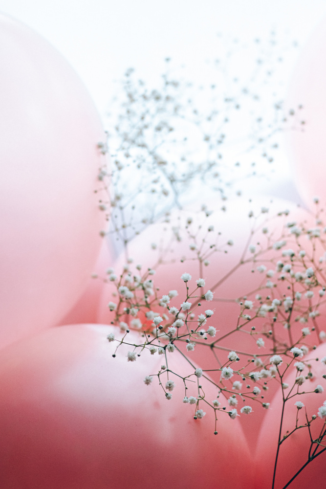 Blüten und Luftballons – Momente wie dieser von uplusmestudio