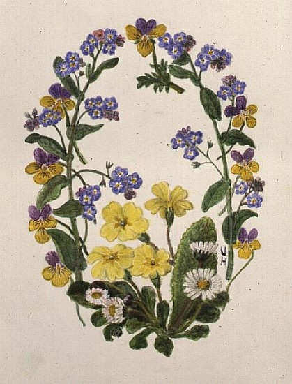 Primroses, Forget-me-nots, Pansies and Daisies (w/c on paper)  von Ursula  Hodgson