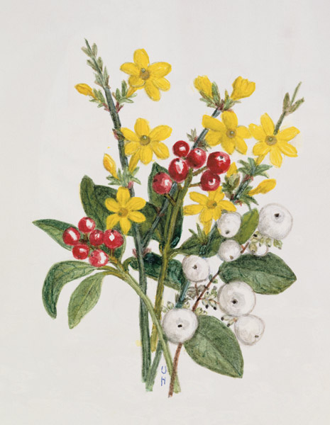 Snowberries, Dogwood and Jasmine von Ursula  Hodgson