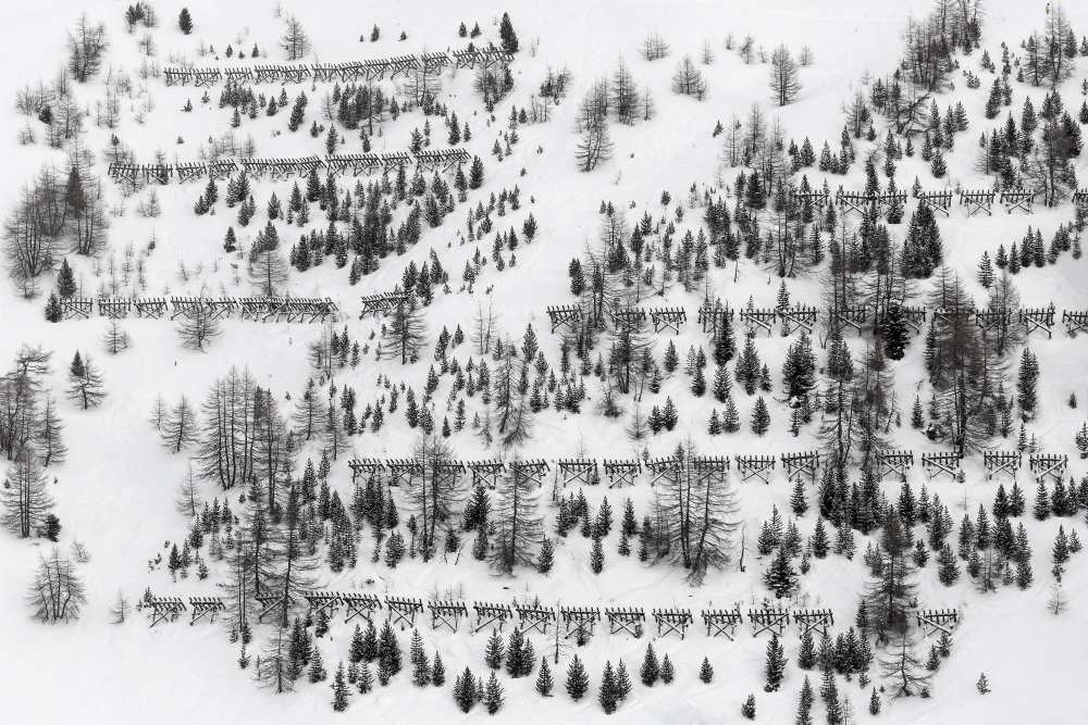 winter trees von Uschi Hermann