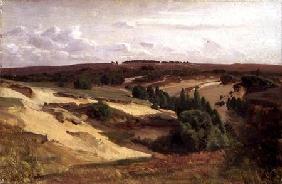 The heath near Bispingen 1887