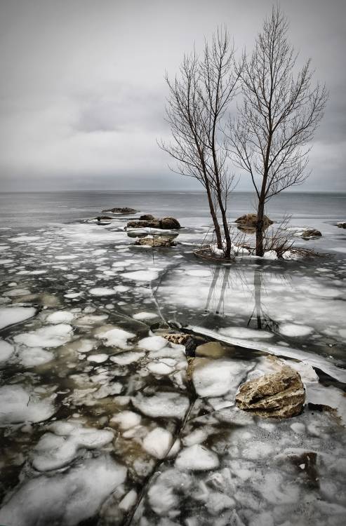 frozen lake von Vedran Vidak