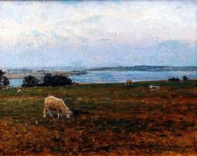 Sheep Grazing, Osterby, Skagen (oil on canvas) 1928