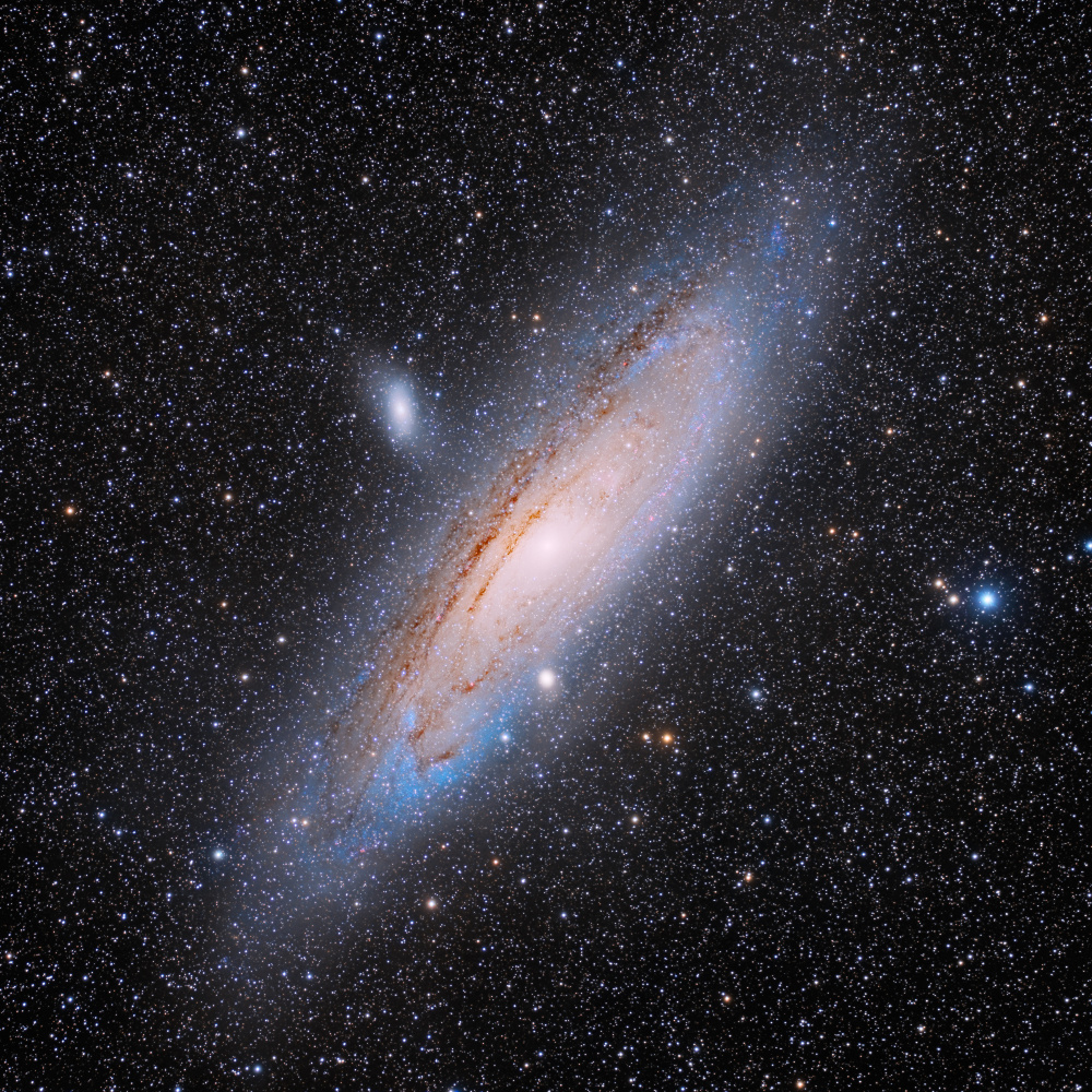 Andromeda von Vikas Chander