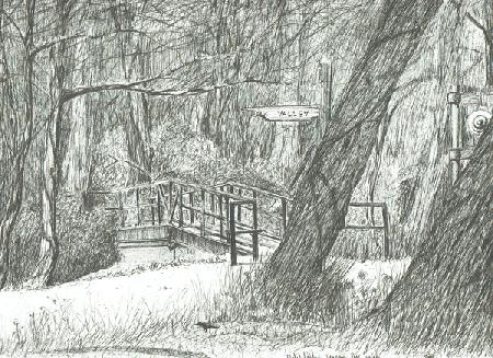 The old metal bridge, Bramhall park 2004