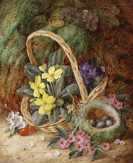 Still Life with Primroses and a Bird's Nest von Vincent Clare