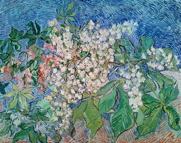 van Gogh / Blossoming Chestnut Branches von Vincent van Gogh