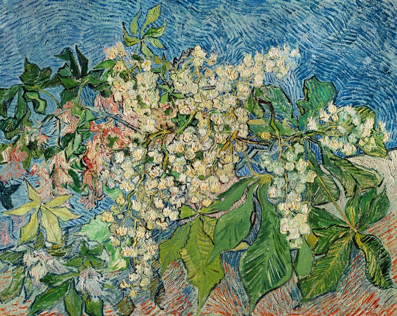 Blossoming Chestnut Branches von Vincent van Gogh