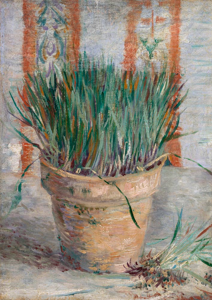 Blumentopf mit Schnittlauch von Vincent van Gogh