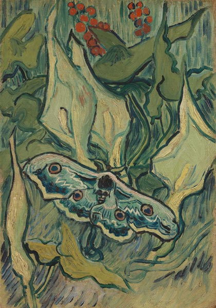 Das Nachtpfauenauge von Vincent van Gogh