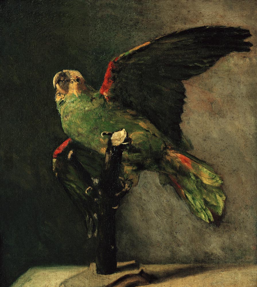 Der grüne Papagei von Vincent van Gogh