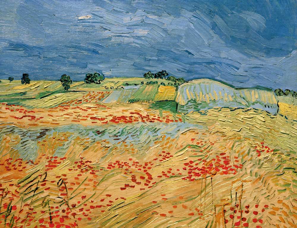 Fields with Blooming Poppies von Vincent van Gogh