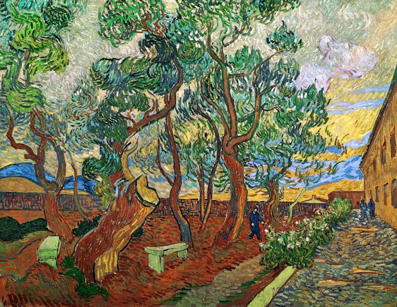 Garden of St.Paul Hospital von Vincent van Gogh