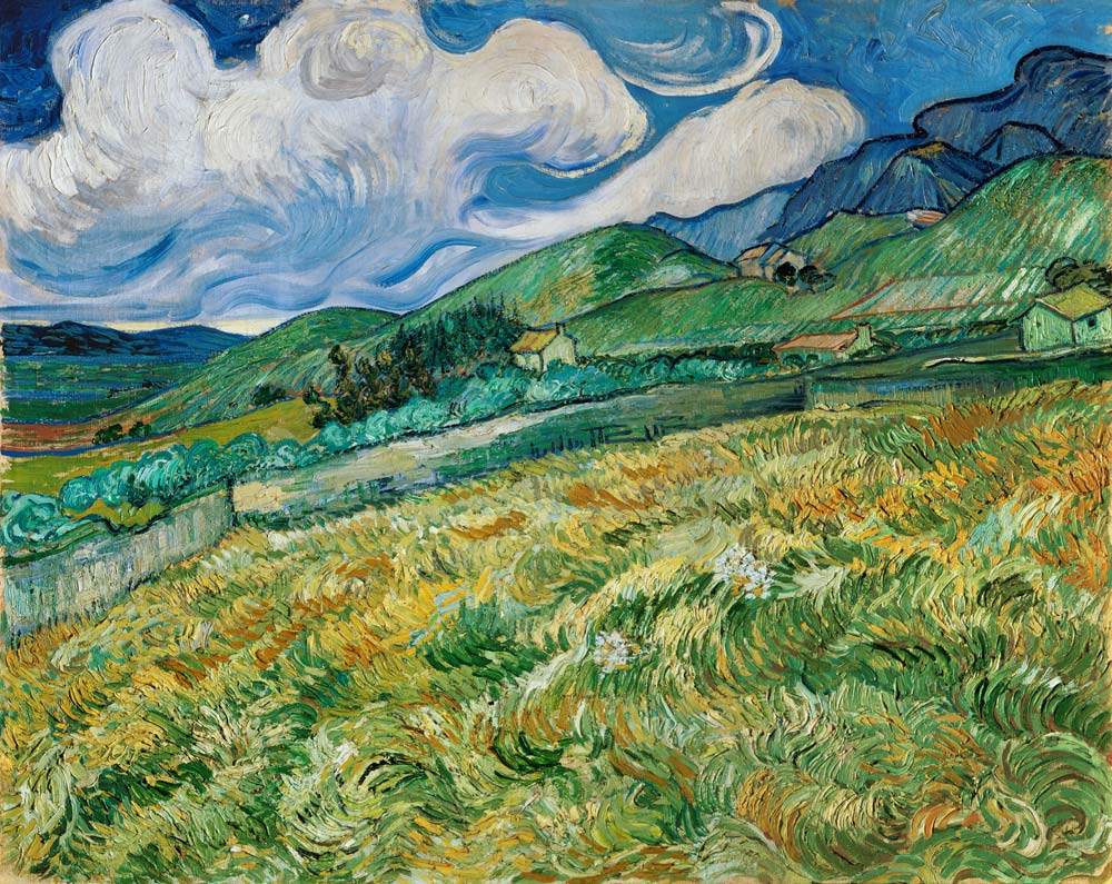 Berglandschaft hinter dem Hospital Saint-Paul, ( Kornfeld nach einem Unwetter ) von Vincent van Gogh