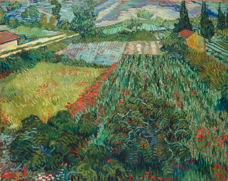 Mohnfeld von Vincent van Gogh