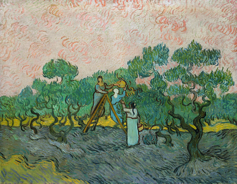 The Olive Pickers, Saint-Remy von Vincent van Gogh