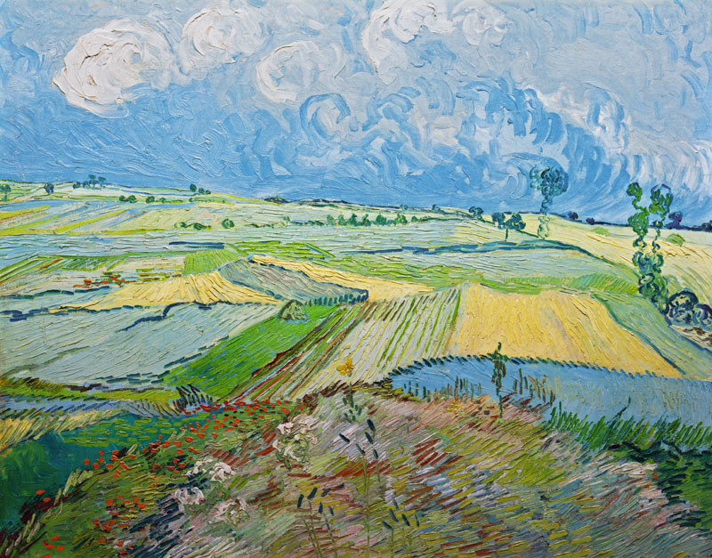 Wheatfields in Auvers von Vincent van Gogh