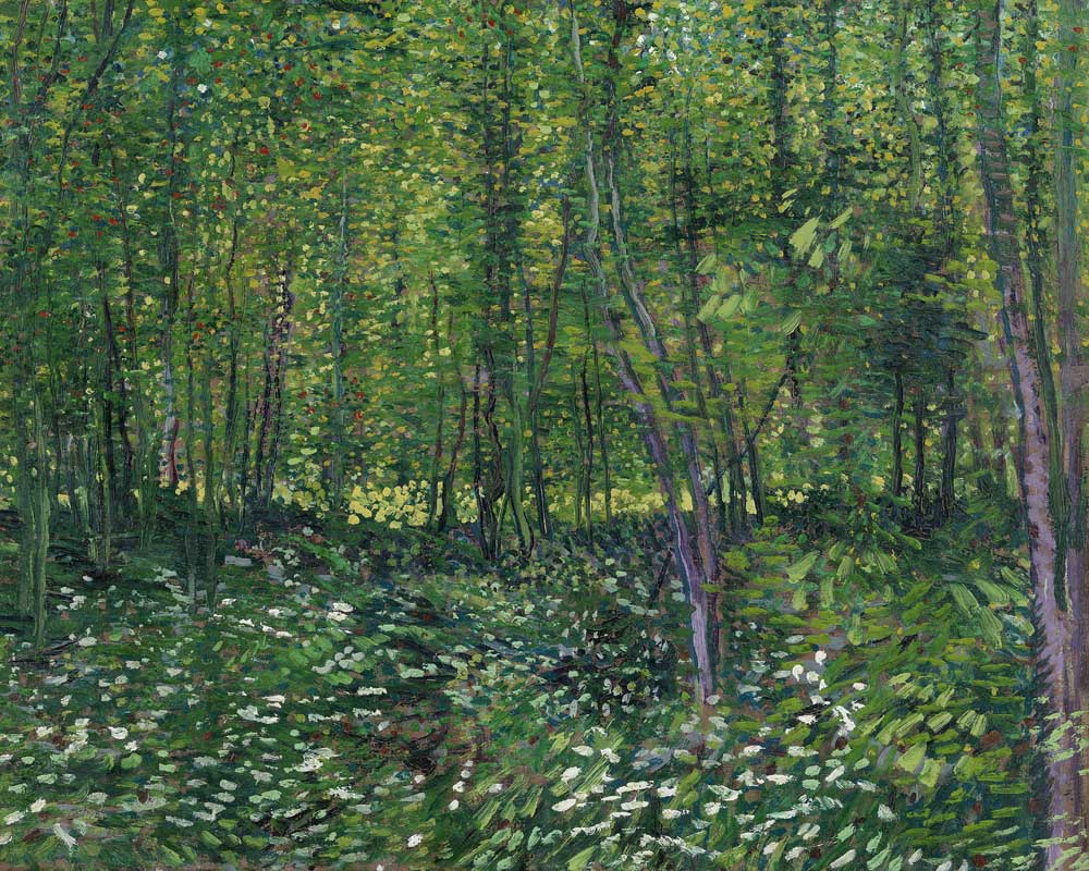 Woods and Undergrowth von Vincent van Gogh