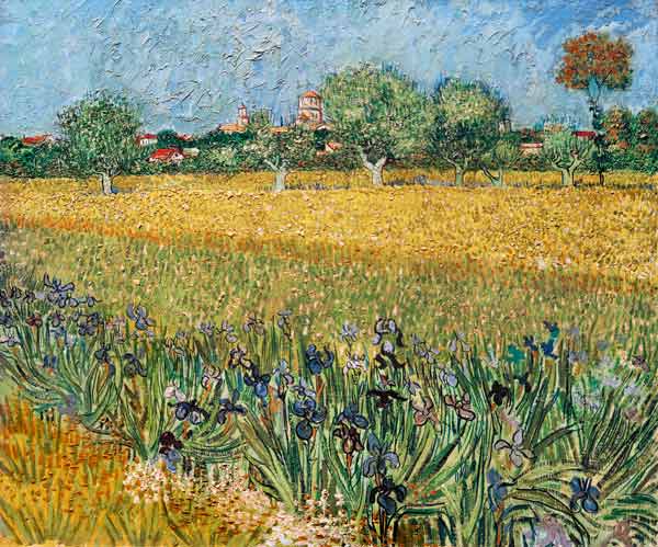Blick auf Arles mit Irisblüten von Vincent van Gogh