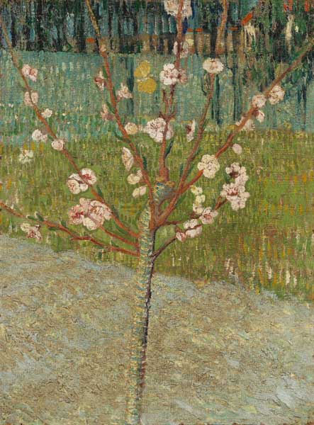 Blühender Pfirsichbaum von Vincent van Gogh