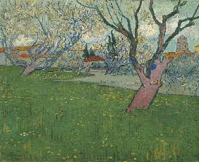 Blühender Obstgarten mit Blick auf Arles 1889