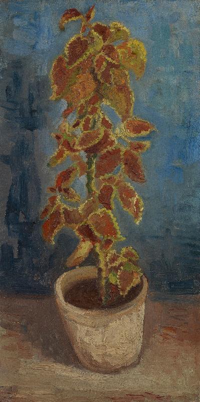 Blumentopf mit Buntnessel von Vincent van Gogh