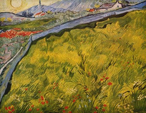 Die eingezäunte Wiese von Vincent van Gogh