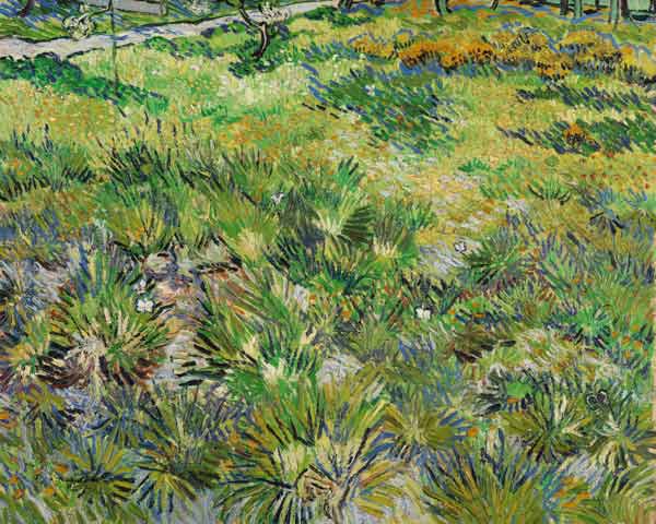 Langes Gras mit Schmetterlingen von Vincent van Gogh