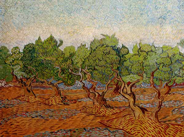 Van Gogh, Olive Grove / Paint./ 1889 von Vincent van Gogh