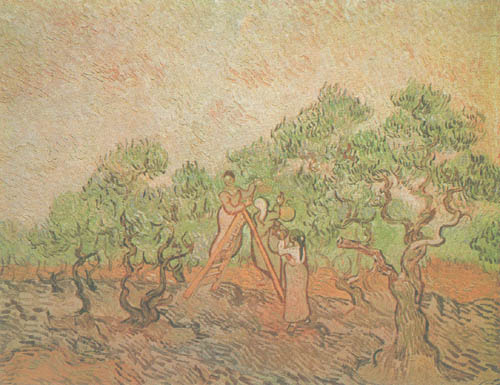 Olivenpflücker von Vincent van Gogh