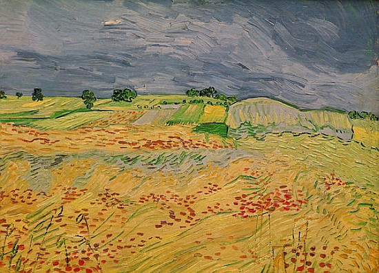 Plain at Auvers von Vincent van Gogh
