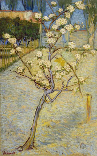 Kleiner blühender Birnbaum von Vincent van Gogh