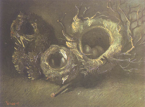Stilleben mit drei Vogelnestern von Vincent van Gogh